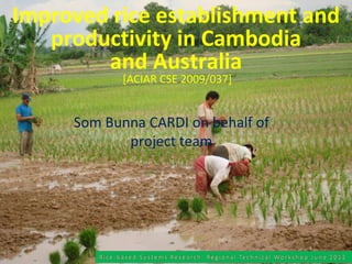 Improved rice establishment and
   productivity in Cambodia
        and Australia
            [ACIAR CSE 2009/037]


     Som Bunna CARDI on behalf of
            project team
 