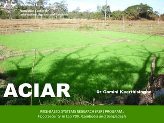 ACIAR                             Dr Gamini Keerthisinghe



   RICE-BASED SYSTEMS RESEARCH (RSR) PROGRAM:
  Food Security in Lao PDR, Cambodia and Bangladesh
 