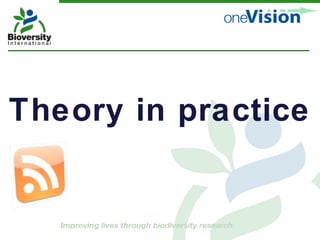 Theory in practice 