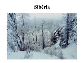 Sibéria
 