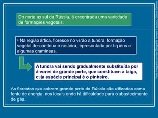 Do norte ao sul da Rússia, é encontrada uma variedade
de formações vegetais.
• Na região ártica, floresce no verão a tundra, formação
vegetal descontínua e rasteira, representada por líquens e
algumas gramíneas.
A tundra vai sendo gradualmente substituída por
árvores de grande porte, que constituem a taiga,
cuja espécie principal é o pinheiro.
As florestas que cobrem grande parte da Rússia são utilizadas como
fonte de energia, nos locais onde há dificuldade para o abastecimento
de gás.
ParteintegrantedaobraGeografiahomem&espaço,EditoraSaraiva
 