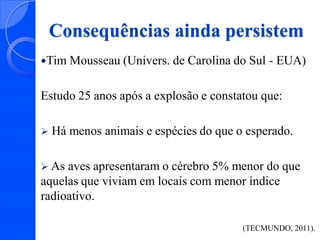 Consequências ainda persistem
Tim Mousseau (Univers. de

Carolina do Sul - EUA)

Estudo 25 anos após a explosão e constatou que:


Há menos animais e espécies do que o esperado.

 As

aves apresentaram o cérebro 5% menor do que
aquelas que viviam em locais com menor índice
radioativo.
(TECMUNDO, 2011).

 