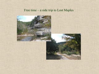 Free time – a side trip to Lost Maples
 