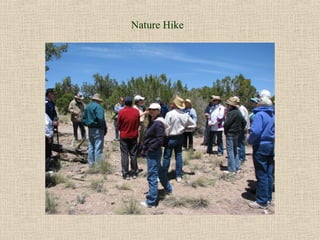 Nature Hike
 