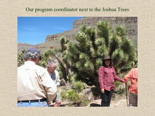 Our program coordinator next to the Joshua Trees
 