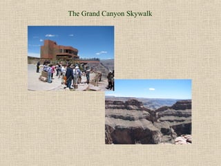 The Grand Canyon Skywalk
 