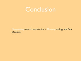 Conclusion

Manipulating natural reproduction = Disarray ecology and ﬂow
of nature.
 