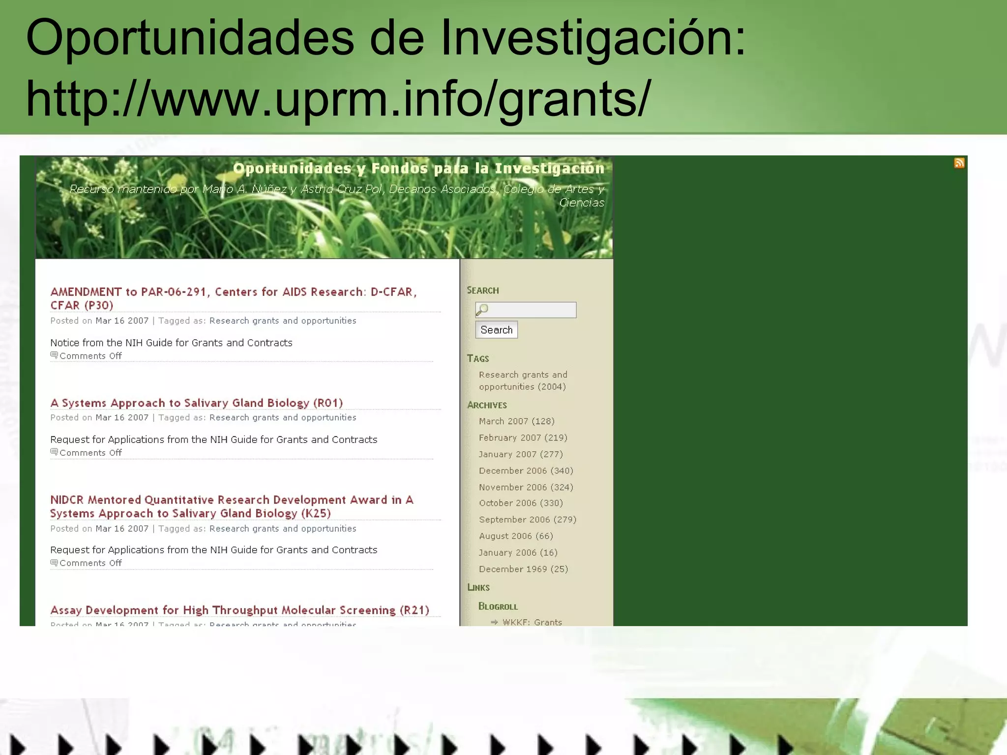 Oportunidades de Investigación:  http://www.uprm.info/grants/   