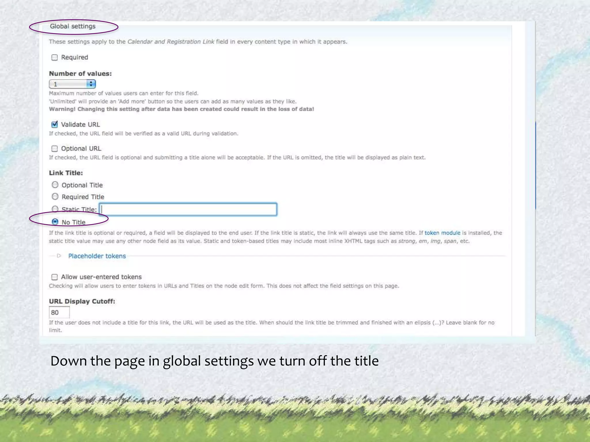 Down the page in global settings we turn off the title