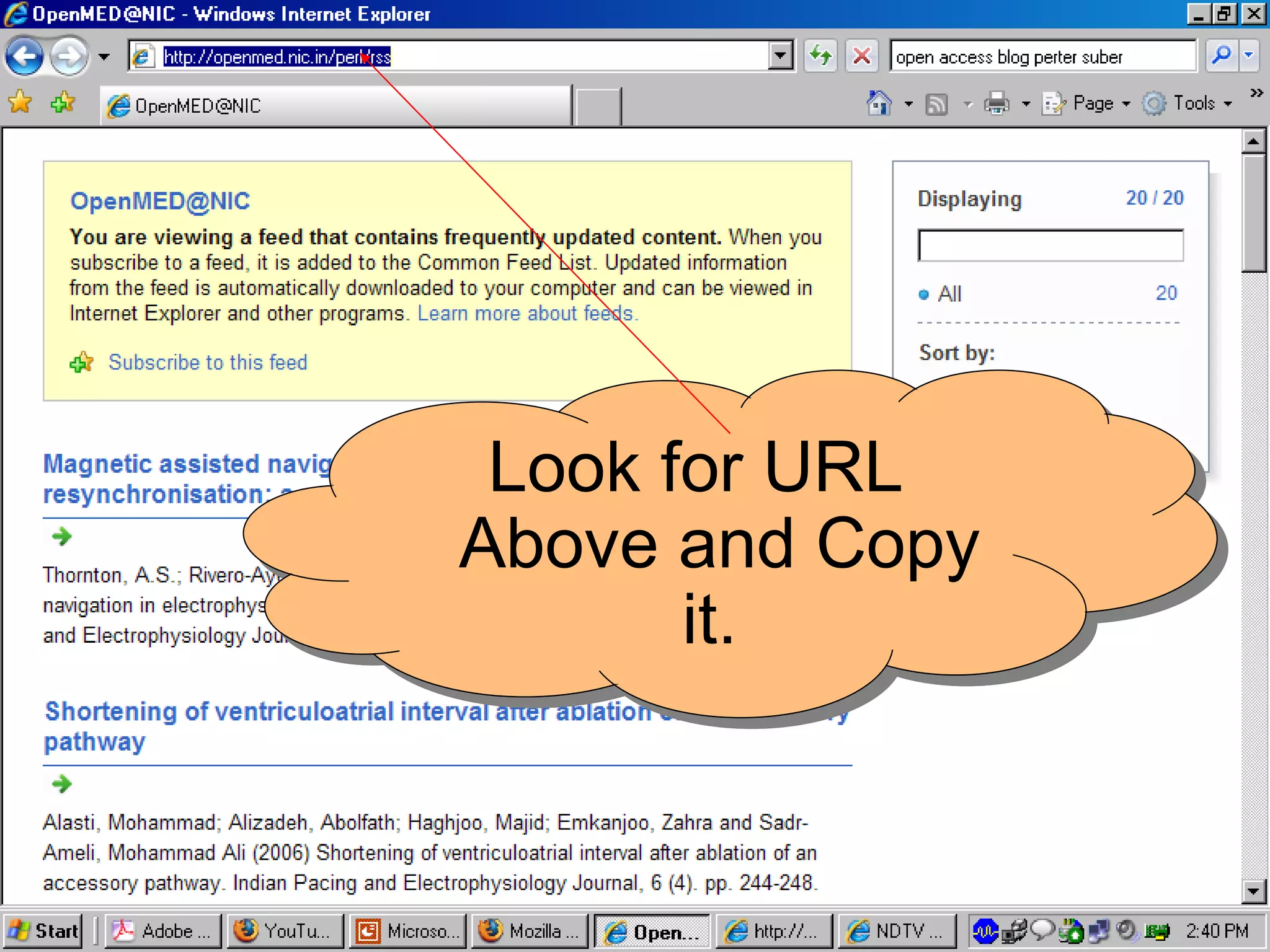 Look for URL Above and Copy it.  