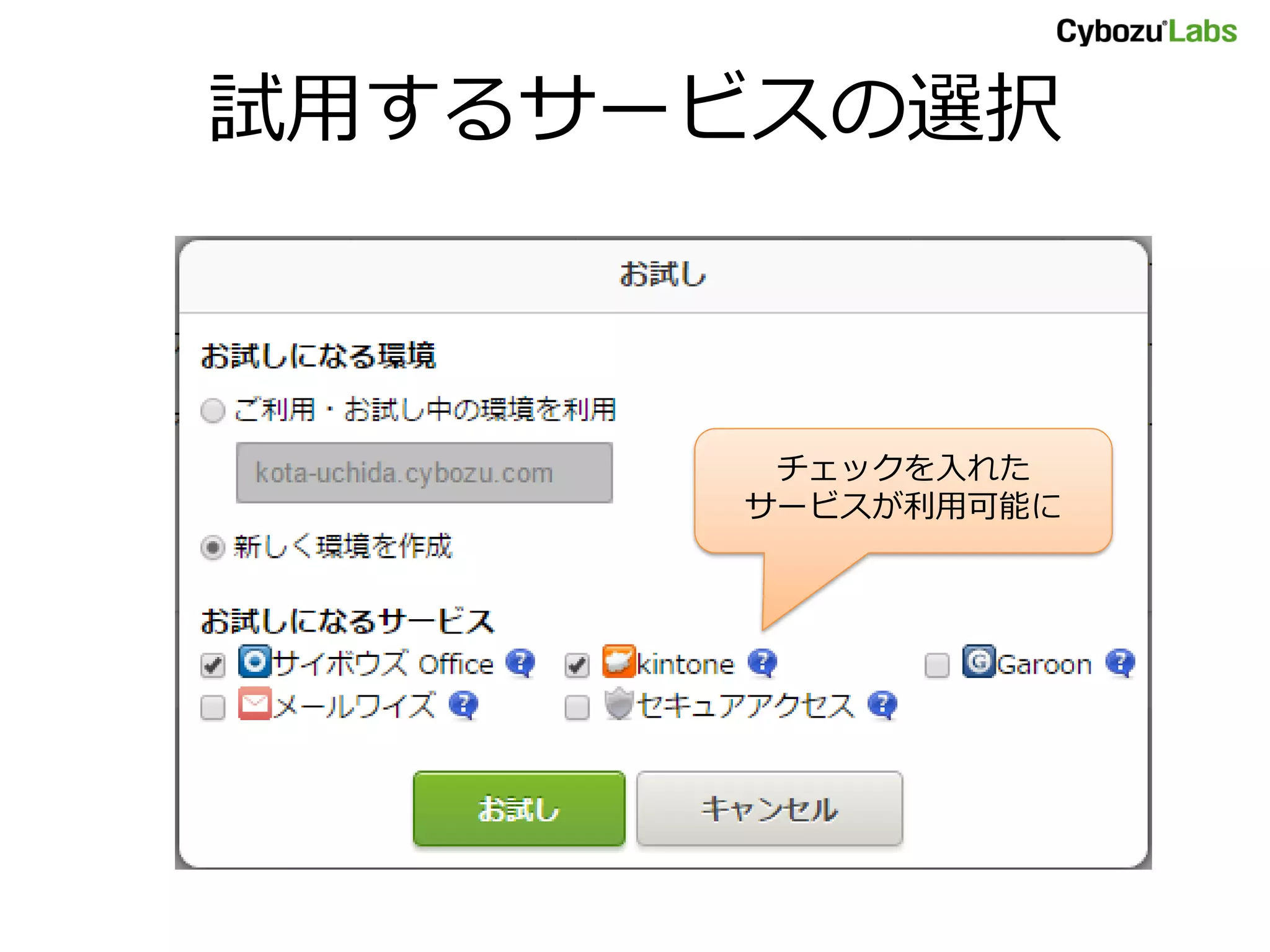 試用するサービスの選択
チェックを入れた
サービスが利用可能に
 