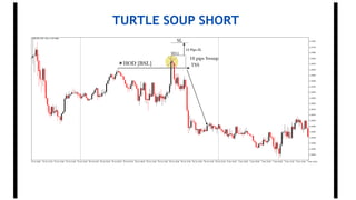 TURTLE SOUP SHORT
 
