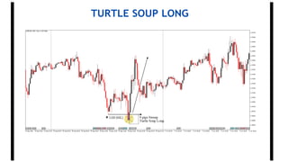 TURTLE SOUP LONG
 