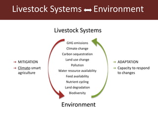 The global livestock sector: Trends and health implications