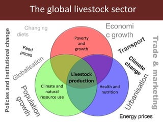 The global livestock sector: Trends and health implications