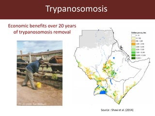 The global livestock sector: Trends and health implications