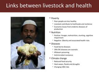The global livestock sector: Trends and health implications
