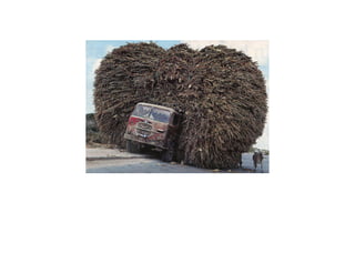 leave this to professionals