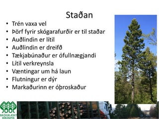 Staðan
•   Trén vaxa vel
•   Þörf fyrir skógarafurðir er til staðar
•   Auðlindin er lítil
•   Auðlindin er dreifð
•   Tækjabúnaður er ófullnægjandi
•   Lítil verkreynsla
•   Væntingar um há laun
•   Flutningur er dýr
•   Markaðurinn er óþroskaður
 