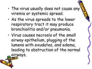 • The virus usually does not cause any
viremia or systemic spread.
• As the virus spreads to the lower
respiratory tract it may produce
bronchiolitis and/or pneumonia.
• Virus causes necrosis of the small
airway epithelium, plugging of the
lumens with exudates, and edema,
leading to obstruction of the normal
airways.
 