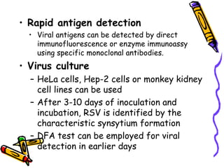 • Rapid antigen detection
• Viral antigens can be detected by direct
immunofluorescence or enzyme immunoassy
using specific monoclonal antibodies.
• Virus culture
– HeLa cells, Hep-2 cells or monkey kidney
cell lines can be used
– After 3-10 days of inoculation and
incubation, RSV is identified by the
characteristic synsytium formation
– DFA test can be employed for viral
detection in earlier days
 