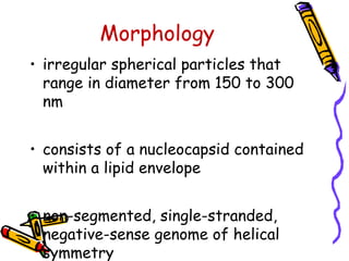 Morphology
• irregular spherical particles that
range in diameter from 150 to 300
nm
• consists of a nucleocapsid contained
within a lipid envelope
• non-segmented, single-stranded,
negative-sense genome of helical
symmetry
 