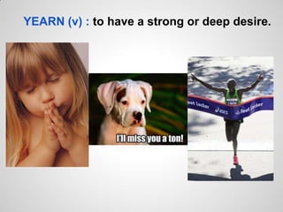 YEARN (v) : to have a strong or deep desire.
 