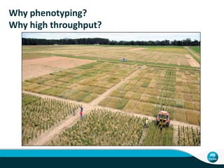 New remote and proximal sensing methodologies in high throughput field ...