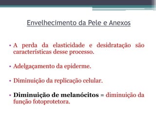 Envelhecimento da Pele e Anexos
• A perda da elasticidade e desidratação são
características desse processo.
• Adelgaçamento da epiderme.
• Diminuição da replicação celular.
• Diminuição de melanócitos = diminuição da
função fotoprotetora.
 