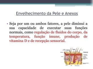 Envelhecimento da Pele e Anexos
• Seja por um ou ambos fatores, a pele diminui a
sua capacidade de executar suas funções
normais, como regulação de fluidos do corpo, da
temperatura, função imune, produção de
vitamina D e de recepção sensorial.
 