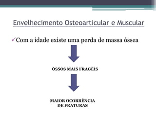 Envelhecimento Osteoarticular e Muscular
Com a idade existe uma perda de massa óssea
ÓSSOS MAIS FRAGÉIS
MAIOR OCORRÊNCIA
DE FRATURAS
 