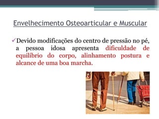 Envelhecimento Osteoarticular e Muscular
Devido modificações do centro de pressão no pé,
a pessoa idosa apresenta dificuldade de
equilíbrio do corpo, alinhamento postura e
alcance de uma boa marcha.
 