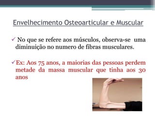 Envelhecimento Osteoarticular e Muscular
 No que se refere aos músculos, observa-se uma
diminuição no numero de fibras musculares.
Ex: Aos 75 anos, a maiorias das pessoas perdem
metade da massa muscular que tinha aos 30
anos
 