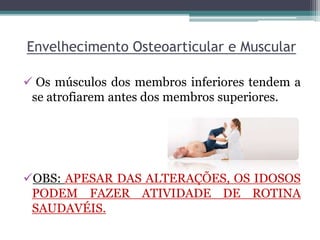 Envelhecimento Osteoarticular e Muscular
 Os músculos dos membros inferiores tendem a
se atrofiarem antes dos membros superiores.
OBS: APESAR DAS ALTERAÇÕES, OS IDOSOS
PODEM FAZER ATIVIDADE DE ROTINA
SAUDAVÉIS.
 
