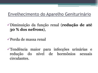 Envelhecimento do Aparelho Geniturinário
Diminuição da função renal (redução de até
30 % dos nefrons),
Perda de massa renal
Tendência maior para infecções urinárias e
redução do nível de hormônios sexuais
circulantes.
 