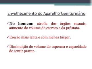 Envelhecimento do Aparelho Geniturinário
No homem: atrofia dos órgãos sexuais,
aumento do volume do escroto e da próstata.
Ereção mais lenta e com menos turgor.
Diminuição do volume do esperma e capacidade
de sentir prazer.
 