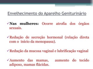 Envelhecimento do Aparelho Geniturinário
Nas mulheres: Ocorre atrofia dos órgãos
sexuais.
Redução de secreção hormonal (relação direta
com o início da menopausa).
Redução da mucosa vaginal e lubrificação vaginal
Aumento das mamas, aumento do tecido
adiposo, mamas flácidas.
 