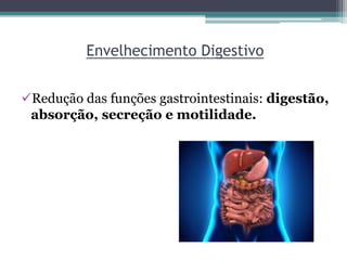 Envelhecimento Digestivo
Redução das funções gastrointestinais: digestão,
absorção, secreção e motilidade.
 