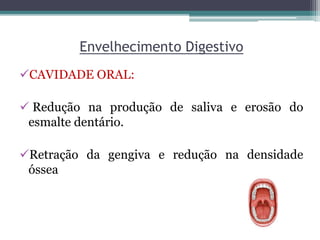 Envelhecimento Digestivo
CAVIDADE ORAL:
 Redução na produção de saliva e erosão do
esmalte dentário.
Retração da gengiva e redução na densidade
óssea
 