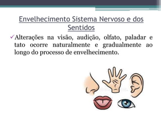 Envelhecimento Sistema Nervoso e dos
Sentidos
Alterações na visão, audição, olfato, paladar e
tato ocorre naturalmente e gradualmente ao
longo do processo de envelhecimento.
 
