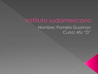 Instituto sudamericano Nombre: Pamela Guaman  Curso: 4to “D” 