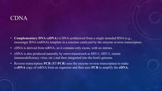 CDNA
• Complementary DNA (cDNA) is DNA synthesized from a single stranded RNA (e.g.,
messenger RNA (mRNA) template in a reaction catalyzed by the enzyme reverse transcriptase.
• cDNA is derived from mRNA, so it contains only exons, with no introns.
• cDNA is also produced naturally by retroviruses(such as HIV-1, HIV-2, simian
immunodeficiency virus, etc.) and then integrated into the host's genome.
• Reverse transcriptase PCR (RT-PCR) uses the enzyme reverse transcriptase to make
a cDNA copy of mRNA from an organism and then uses PCR to amplify the cDNA.
 