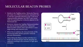 MOLECULAR BEACON PROBES
• Similar to the TaqMan probes, Molecular Beacons
also make use of fluorescent probes attached to the
5' end and a quencher attached to the 3' end of an
oligonucleotide substrate, but FRET only occurs
when the quenching dye is directly adjacent to the
fluorescent dye.
• However, whereas the TaqMan fluorescent probes
are cleaved during amplification, Molecular
Beacon probes remain intact and rebind to a new
target during each reaction cycle.
• When free in solution, the close proximity of the
fluorescent probe and the quencher molecule
prevents fluorescence.
• When Molecular Beacon probes hybridize to a
target, the fluorescent dye and the quencher are
separated resulting in the emittance of light upon
excitation.
 