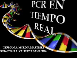 PCR EN TIEMPO REAL GERMAN A. MOLINA MARTINEZ SEBASTIAN A. VALENCIA SANABRIA 