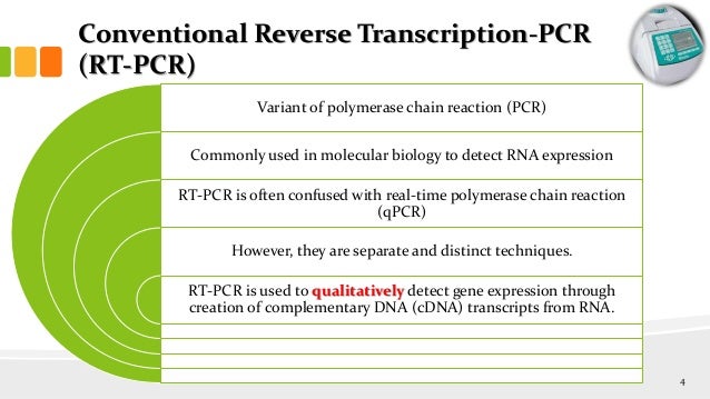 Rt Pcr Reverse Transcription Pcr Rt Pcr Reverse Transcription Pcr