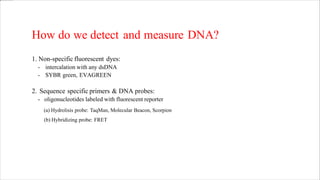 How do we detect and measure DNA?
1. Non-specific fluorescent dyes:
- intercalation with any dsDNA
- SYBR green, EVAGREEN
2. Sequence specific primers & DNA probes:
- oligonucleotides labeled with fluorescent reporter
(a) Hydrolisis probe: TaqMan, Molecular Beacon, Scorpion
(b) Hybridizing probe: FRET
 