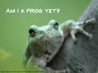 http://images2.pics4learning.com/catalog/2/2005_06_19treefrog023.jpg
 