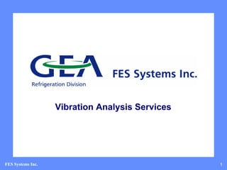 Vibration Analysis Services




FES Systems Inc.                                 1
 