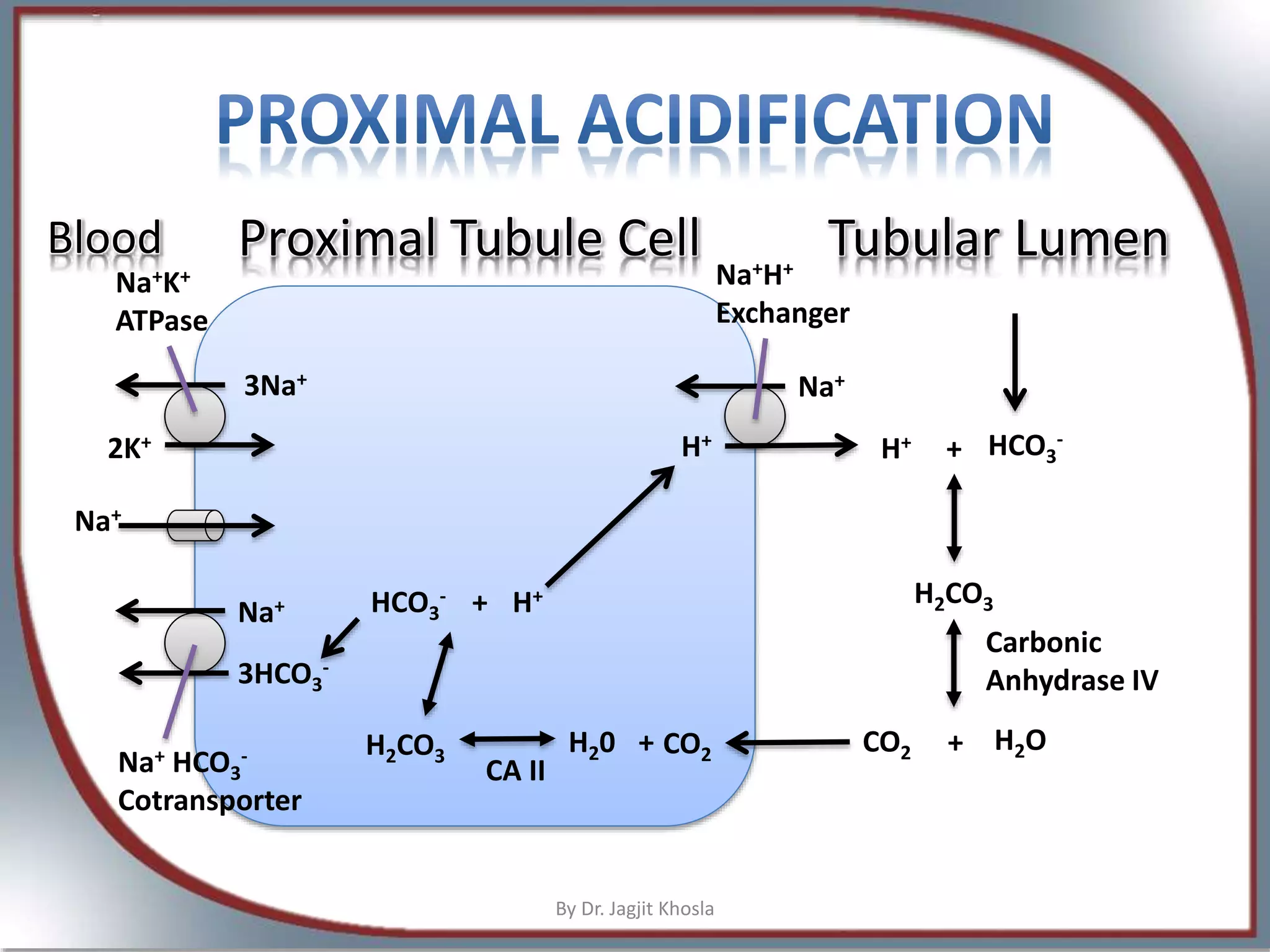 Renal tubular acidosis and other causes of Normal anion gap Metabolic ...
