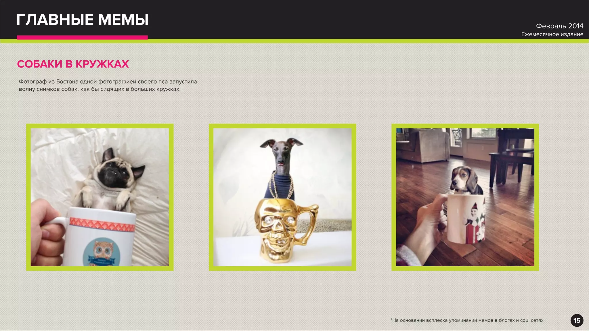 ГЛАВНЫЕ МЕМЫ
СОБАКИ В КРУЖКАХ
Фотограф из Бостона одной фотографией своего пса запустила
волну снимков собак, как бы сидящих в больших кружках.
15
Февраль 2014
Ежемесячное издание
*На основании всплеска упоминаний мемов в блогах и соц. сетях
 